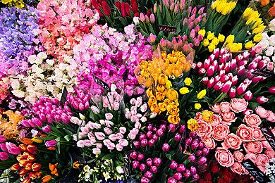 《明日方舟终末地》预热预告 3月18日详细内容公布